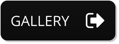 GALLERY GALLERY